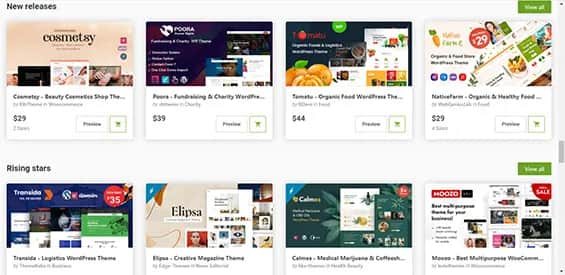 Jak sprawdzić motyw WordPress i uniknąć niepotrzebnych błędów