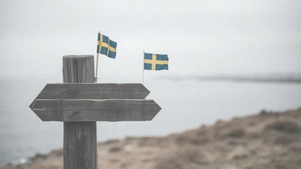 Domena .se jaki kraj? Odkryj, dlaczego to Szwecja! Domena .se jaki kraj? Odkryj, dlaczego to Szwecja!