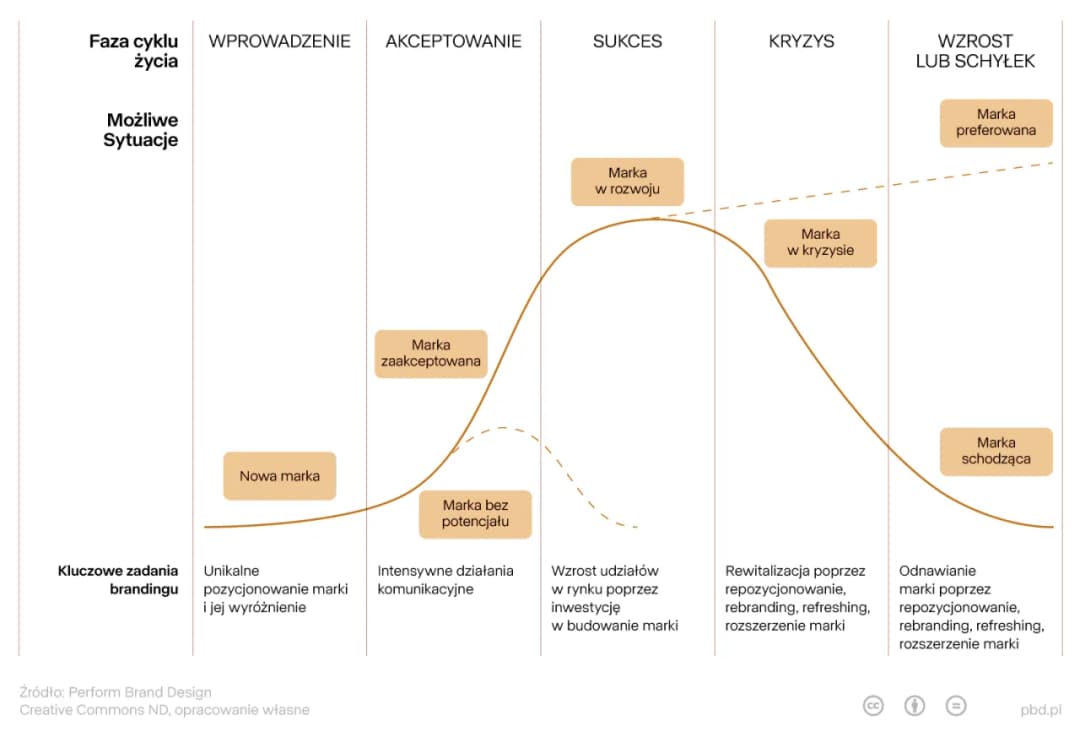 Co branded content: jak skutecznie budować marki i zyski?