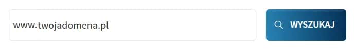 Jak sprawdzić wolne domeny i uniknąć błędów przy rejestracji