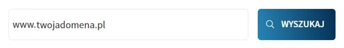 Jak sprawdzić wolne domeny i uniknąć błędów przy rejestracji