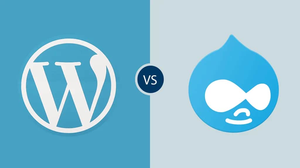 Drupal czy WordPress - który CMS naprawdę spełni Twoje oczekiwania?